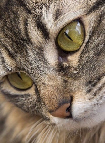       - 6  2016  17:18 - 6