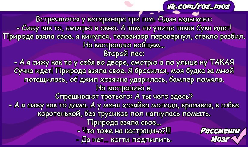  - 24  2017  23:06
