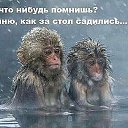 ���� �������, ����� - ��������� 9 ������ 2016 � ������ ���� ����������