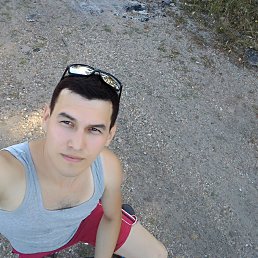 �����, 37 ���, ���������