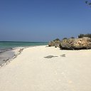 ���� Vincent, ������������, 50 ��� - ��������� 8 ������ 2017 � ������ ���� ����������