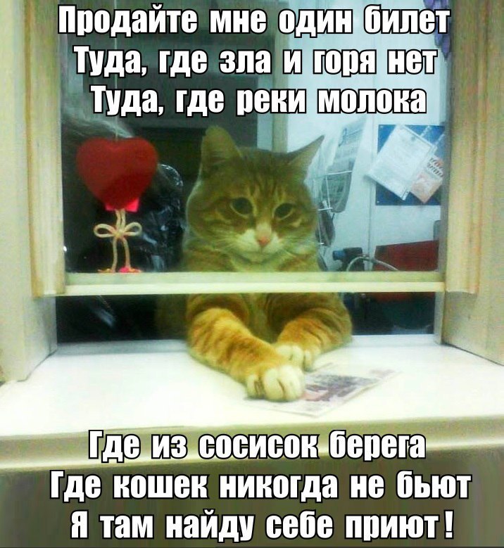 " —  ...  " - 20  2017  22:05