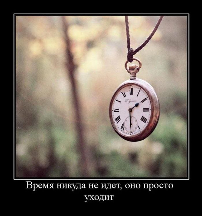  -  ,  ,  !!! - 4  2016  09:03