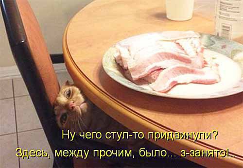 ������� ����� - 30 ������ 2017 � 12:11