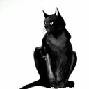 ���� �������, �����-���������, 38 ��� - ��������� 26 ������� 2016 � ������ ������� �����