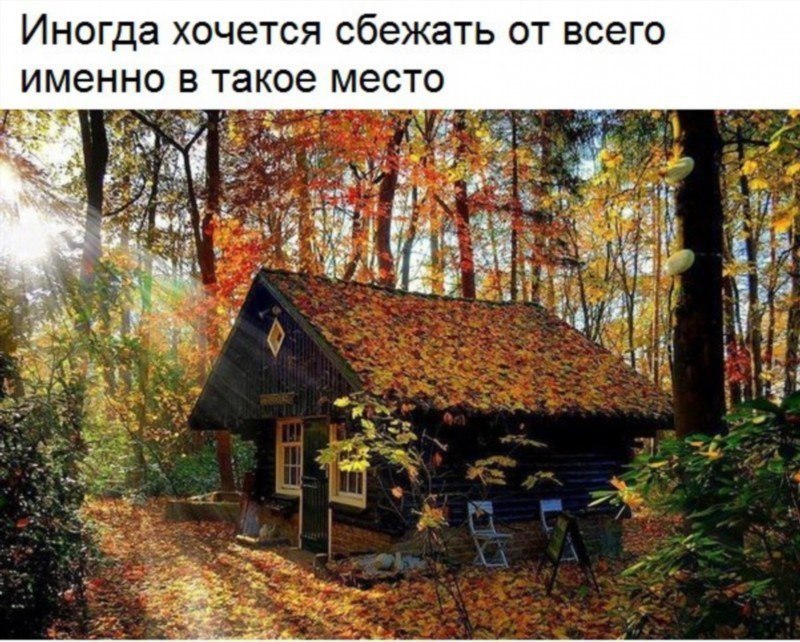    - 26  2017  16:30