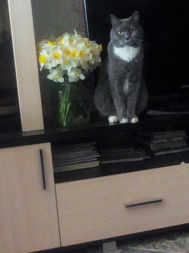      -   .(  - ,   ...)... ...