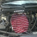 ���� �������, ��������, 35 ��� - ��������� 11 ������� 2016 � ������ �Ferrari�