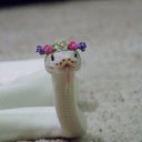 ���� ������, ������� - ��������� 6 ������ 2016 � ������ ���� ����������