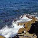 ���� ������, ������, 44 ���� - ��������� 7 ������� 2016 � ������ ���� ����������