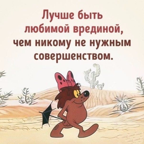  - 12  2017  11:41