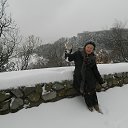  , , 73  -  28  2017    ߻