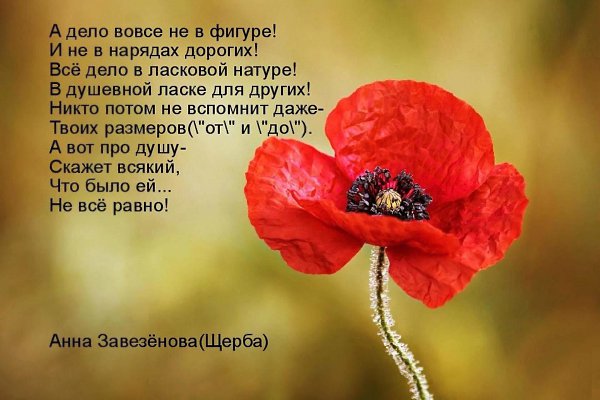  - 17  2016  11:20
