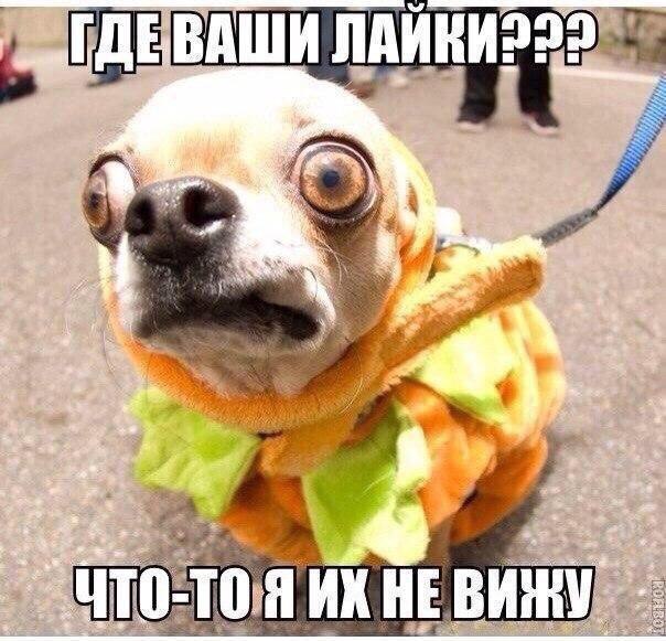  - 13  2016  16:48