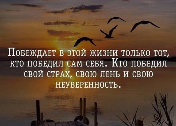 BEST | , ,  - 16  2016  02:03