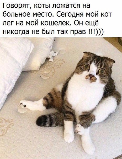  - 6  2017  21:32