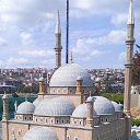 ���� ������, ������, 47 ��� - ��������� 22 ������� 2016 � ������ ���