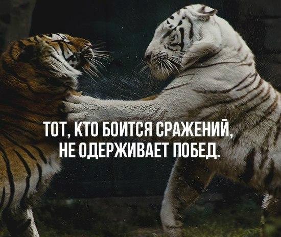 BEST | , ,  - 22  2017  16:42