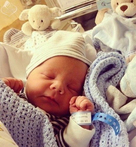    ,    .      ,      ...