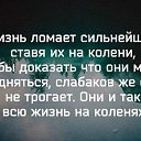 ���� ��������, ������, 49 ��� - ��������� 26 �������� 2016 � ������ ������ ��������