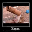���� �������, ������, 54 ���� - ��������� 3 ������� 2017 � ������ ������ ��������
