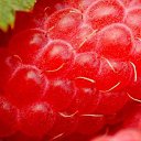 ���� Ekaterina, ������-��-���� - ��������� 20 �������� 2016