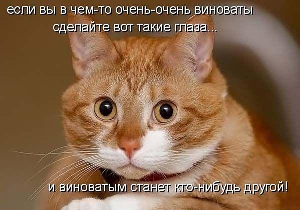     !!