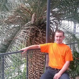 Intars, ��������, 43 ����