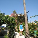  , , 67  -  20  2016   -2016, 