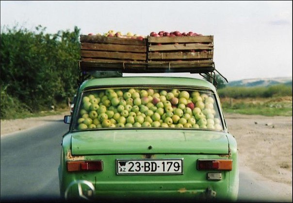  Apple-7