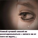 ���� �����, �������� - ��������� 11 ����� 2017 � ������ ������ ��������