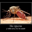���� �������, ������, 50 ��� - ��������� 27 �������� 2016 � ������ ������ ��������