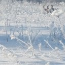 ���� ����, ������ - ��������� 14 ������� 2016 � ������ ��� ���Ż