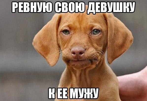  - 27  2017  11:39