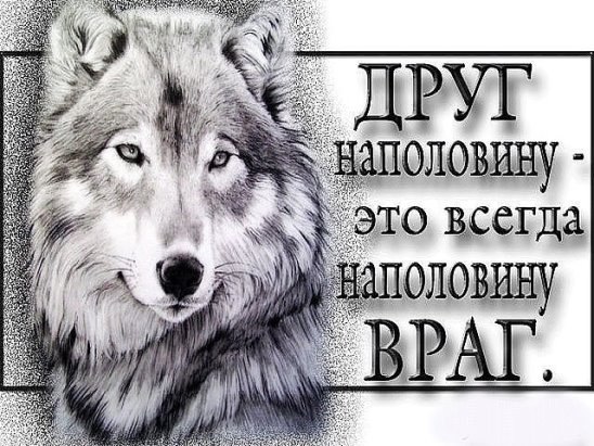   - 6  2016  02:47