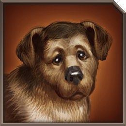 ����� ������� ����� ����� ����. � ������� �� ���� ������ � �����! ...