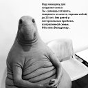  , - -  30  2017    