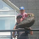 ���� ������, ����, 42 ���� - ��������� 2 ������ 2016 � ������ ���� ����������