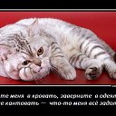 ���� ��������, ���������, 62 ���� - ��������� 16 �������� 2016 � ������ ������ ��������