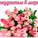 ���� �����, ������ - ��������� 8 ����� 2017 � ������ ������ ��������