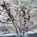 ���� ����, ���� - ��������� 24 �������� 2016 � ������ ���� ����������