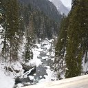 ���� ����� �., ������������, 61 ��� - ��������� 10 ������ 2017 � ������ ���� ����������