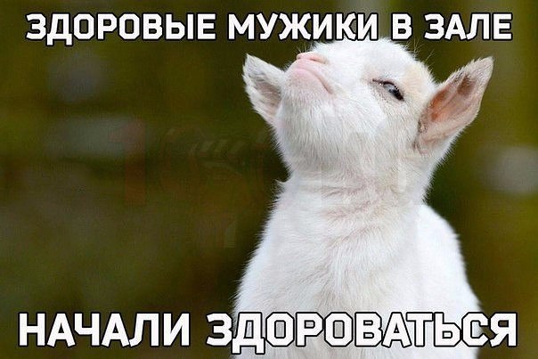       - 6