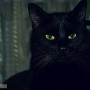 ���� �������, �����, 54 ���� - ��������� 6 ������� 2016 � ������ ������ ��������