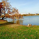 ���� �������, ���������, 73 ���� - ��������� 16 ������ 2016 � ������ �������� ����� � ����������