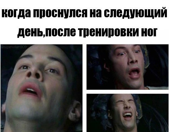    ! - 6  2017  16:31