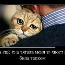 ���� ��������, ������, 69 ��� - ��������� 26 ������� 2017 � ������ ���� ����������