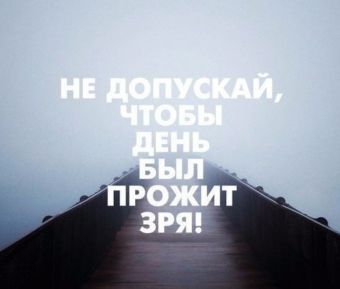 LIFE -  - 25  2016  11:00
