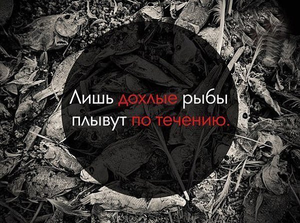 I Love Cars - 31  2016  08:46