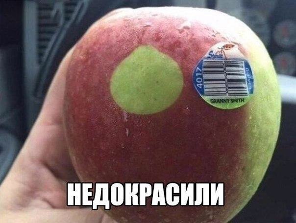     - 15  2016  06:33